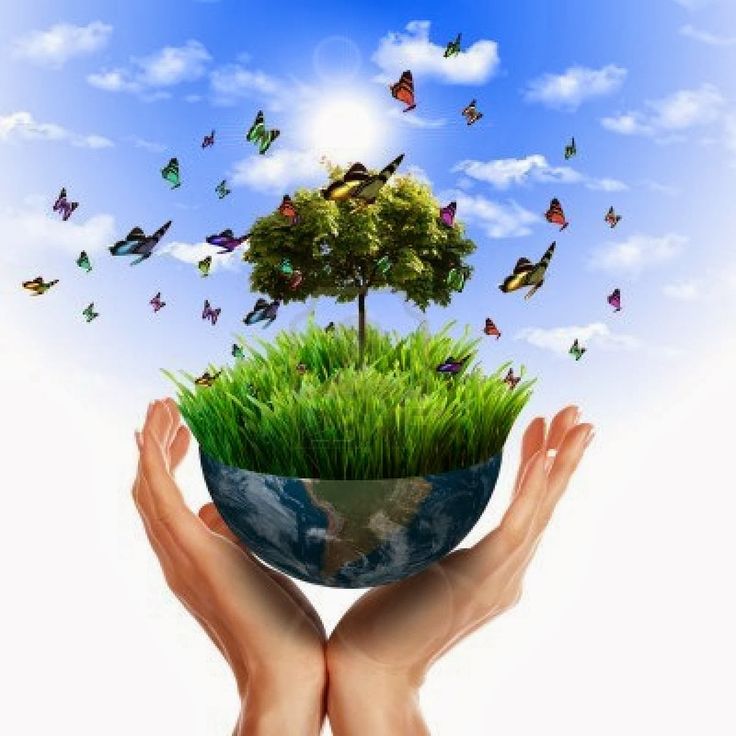 two hands holding up a green globe with trees and butterflies flying around it in the sky