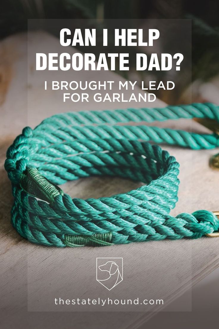 a green rope with the words can i help decorate dad?