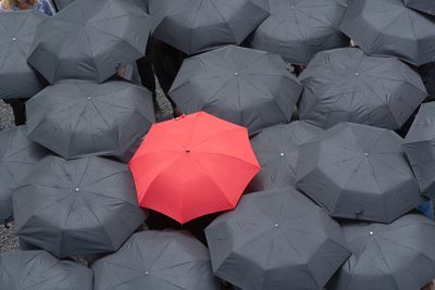 a large group of people with umbrellas in the middle of one person's head