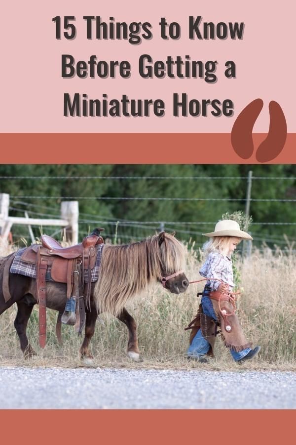 a little boy that is standing next to a horse in the grass with text overlay