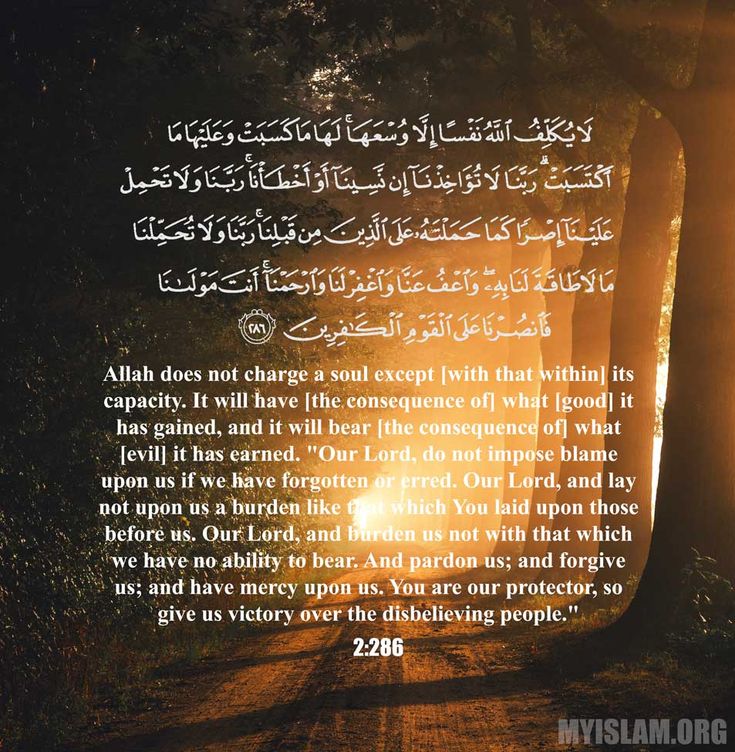 Surah baqarah benefits - vametfoundation