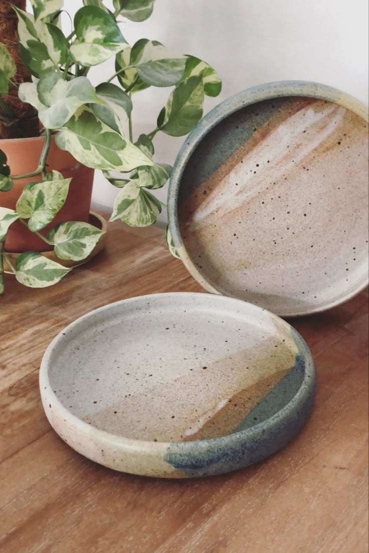 two ceramic bowls sitting on top of a wooden table next to a potted plant