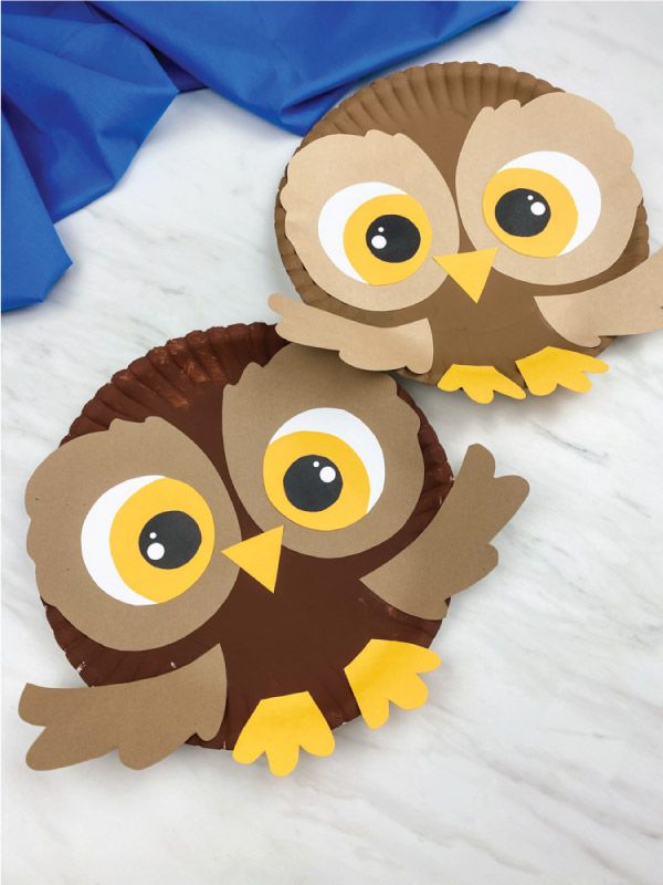 two paper plates with owls on them sitting next to each other, one has yellow eyes and the other has brown feathers