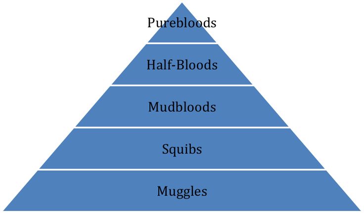 a pyramid with the five levels labeled in blue and white, including half - bloods, mudflots, squigs, muggles, and more