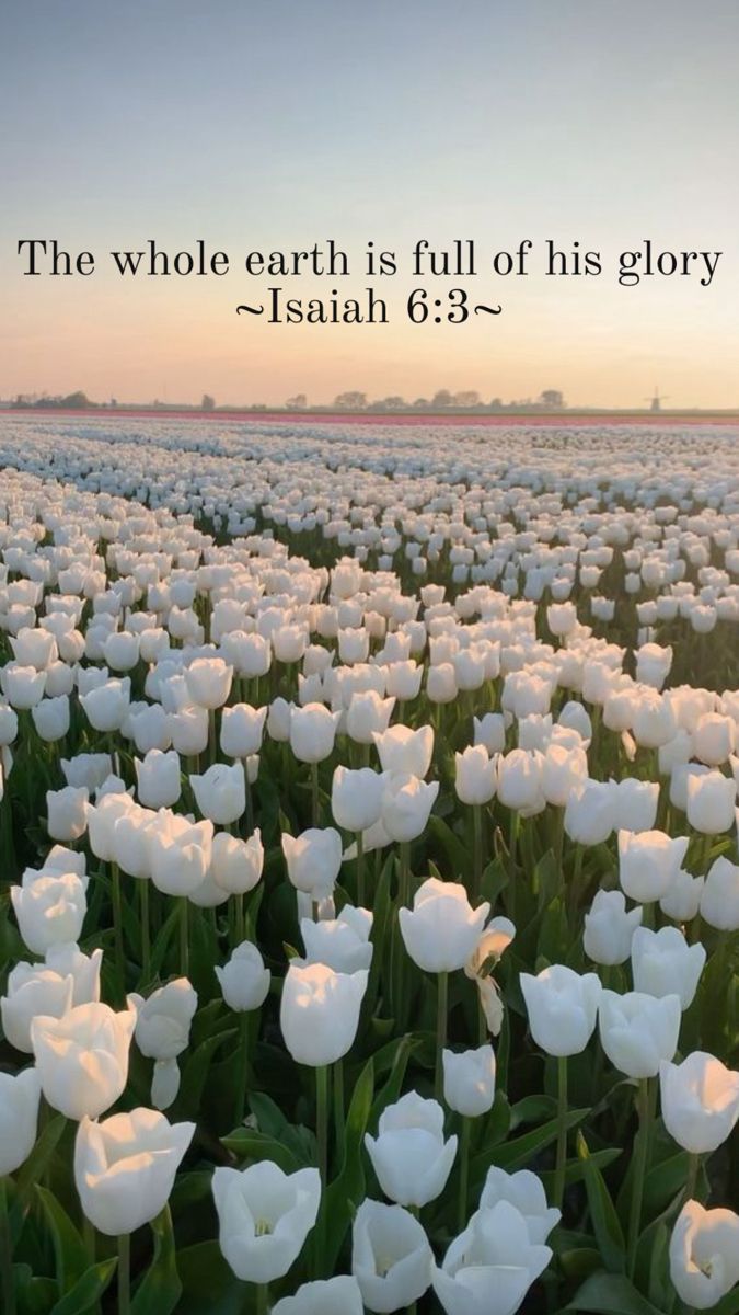 Bible quote aesthetic flowers Isaiah 6:3 God's Creation Quotes Nature, Bible Quote Aesthetic, Bible Verses About Nature, Creation Quotes, Creation Bible, Isaiah Bible, Cute Bible Verses, Cute Bibles, Bible Verse Background