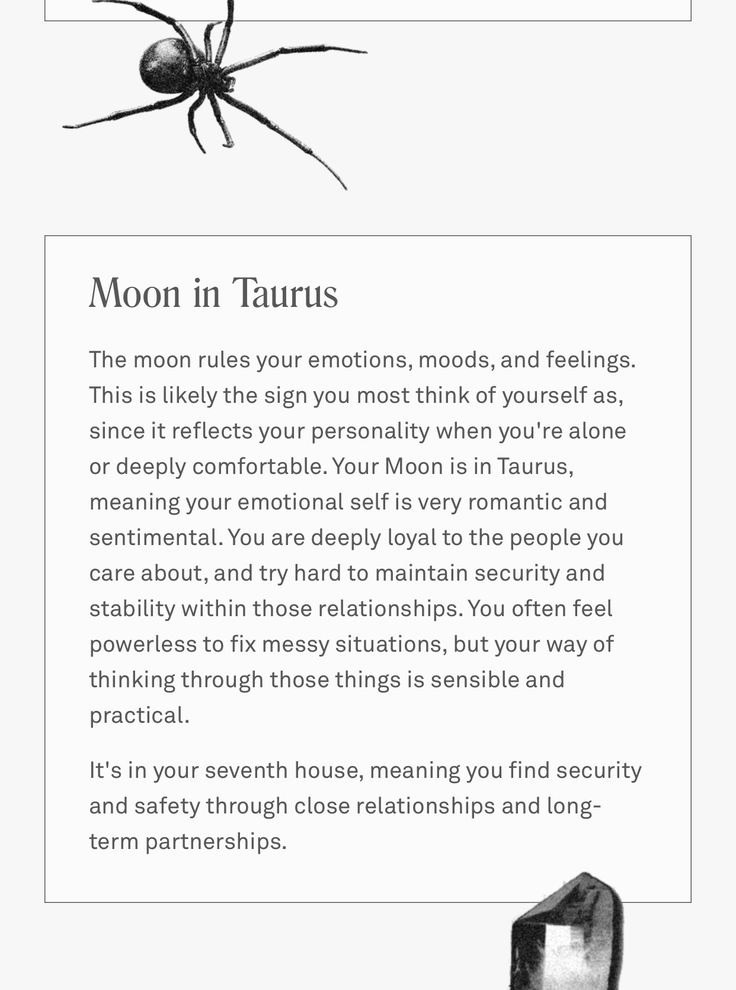 a spider sitting on top of a piece of paper with the caption moon in taurus