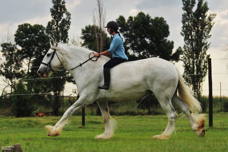 a woman riding on the back of a white horse through a lush green field with trees in the background