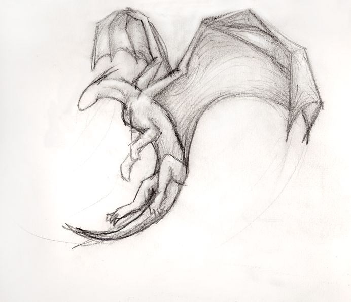 a drawing of a dragon with its wings spread