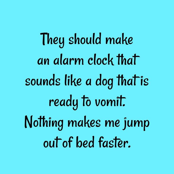 a blue background with the words, they should make an alarm clock that sounds like a dog that is ready to voint nothing makes me jump out of bed faster