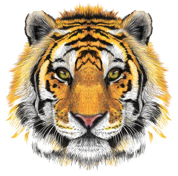 a tiger's face with yellow eyes and black stripes on the front, white background