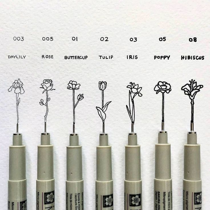 six pens are lined up in the same row and each has flowers drawn on them