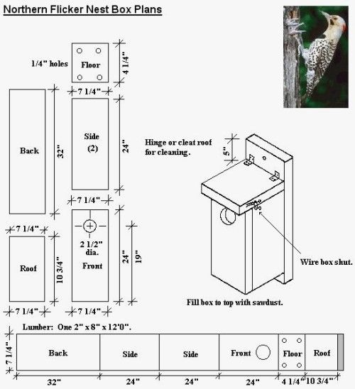 the northern flickerr nest box plans