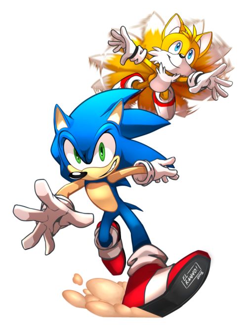 The Famous Duo - El Ranno Duos Characters, Sonic And Tails, Sonic Tails, Hedgehog Drawing, Famous Duos, Rouge The Bat, Sonic Characters, Sonic And Amy, Sonic 3