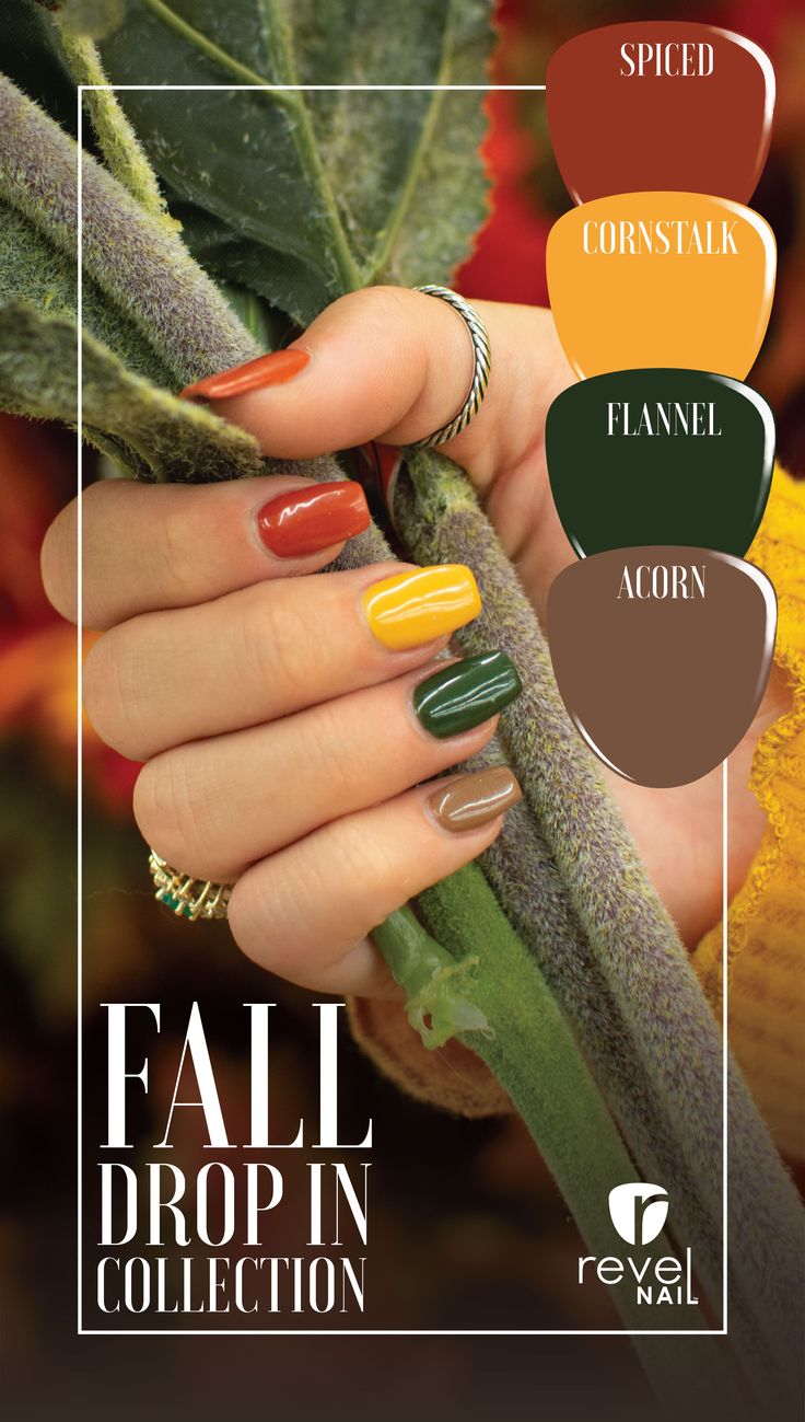 Our new Fall Drop In Collection is here! Four gorgeous Fall shades of Dip Powder to spice up your mani! Get tons of fall nail inspiration and don't forget to grab our fall mystery box while it lasts! Fall Dip, Dip Powder Colors, Calm Green, Trendy Manicure, Dip Nail Colors, Revel Nail Dip Powder, Revel Nail Dip, Revel Nail, Fall Gel Nails