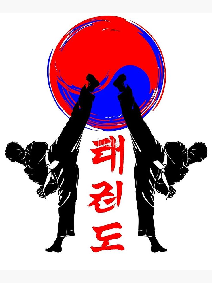 two people doing karate in front of a red and blue sun poster with japanese characters on it