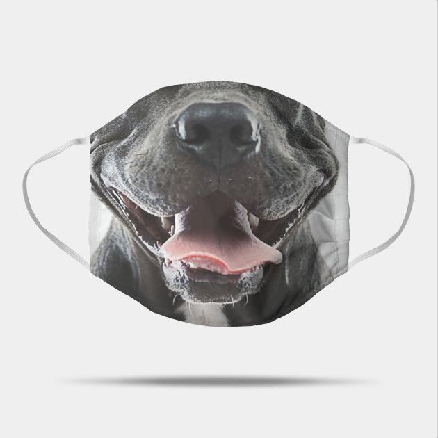 I Need This Face Mask #INeedThisFaceMask #Pitbull #dog #face #portrait #with #human #expression #and #Tongue #smile #mouth #Mask Human Expression, Face Portrait, Face Mask Design, Mouth Mask, Dog Face, Pitbull Dog, Pitbull, Need This, Face Masks