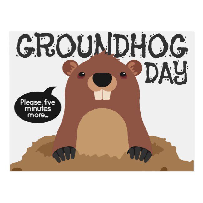 Cute groundhog day cartoon illustration postcard | Zazzle | Groundhog ...