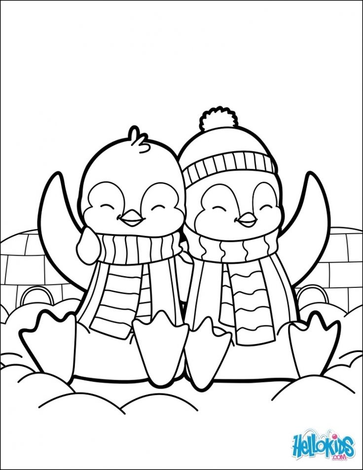 two cartoon penguins wearing winter clothes and scarfs