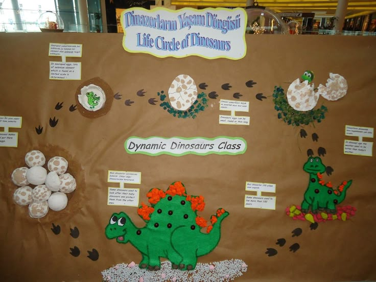 a bulletin board with different types of dinosaurs on it