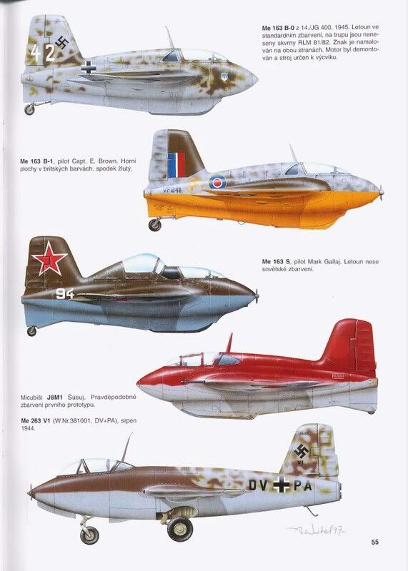 Me 163 Me 263 Spaceflight Simulator, Aircraft Camouflage, Luftwaffe Planes, Wwii Fighter Planes, Flying Wing, Wwii Airplane, Messerschmitt Bf 109, Wwii Fighters, Wwii Plane