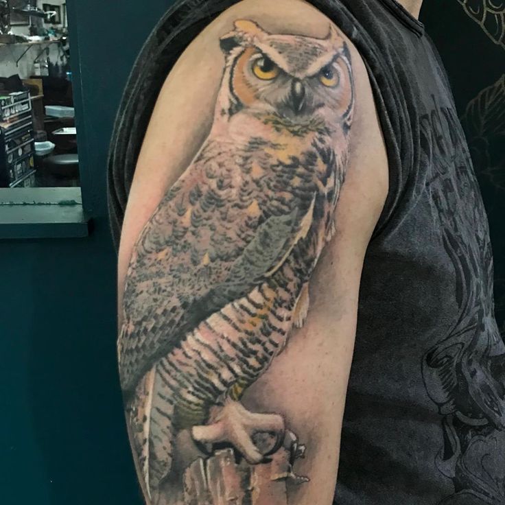 an owl tattoo on the arm and shoulder