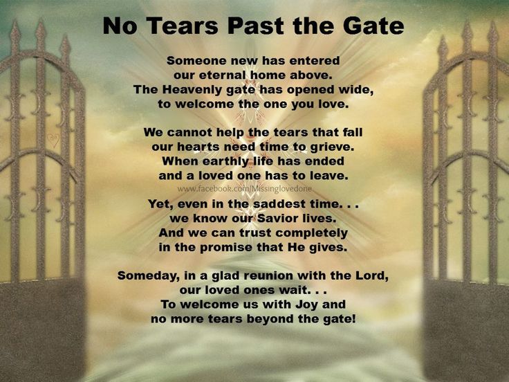 an open gate with the words no tears past the gate