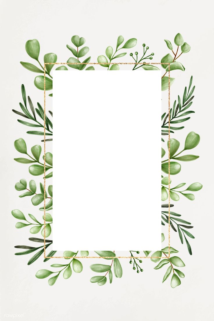 a square frame with green leaves and branches