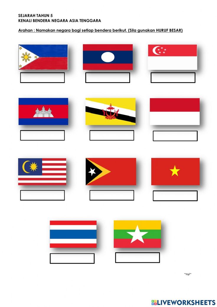 the flags of different countries are shown in this graphic style, with each country's flag