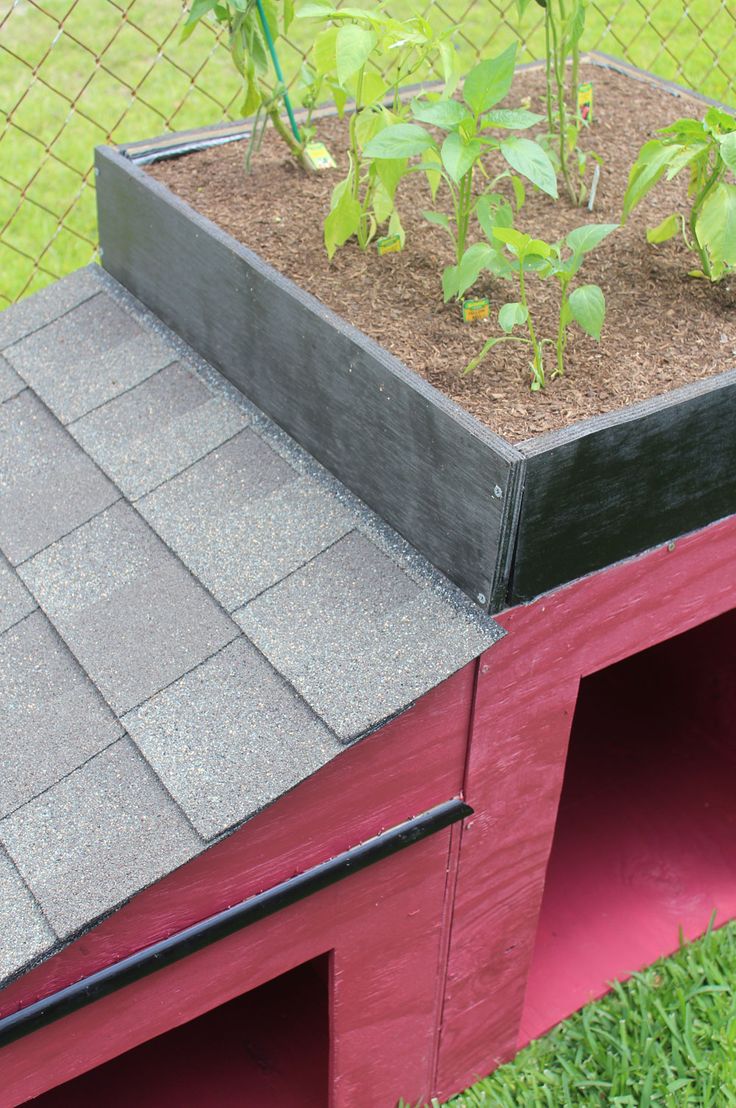 a red chicken coop with plants growing out of it