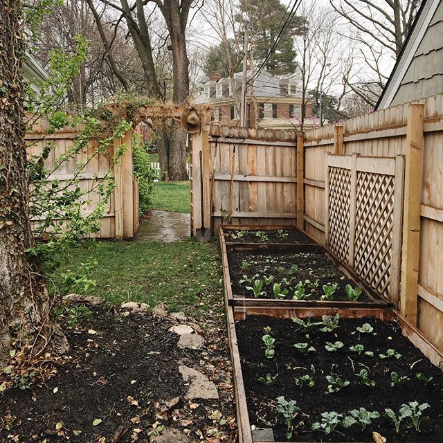 an outdoor garden area with wooden fence and green plants in the ground, surrounded by trees