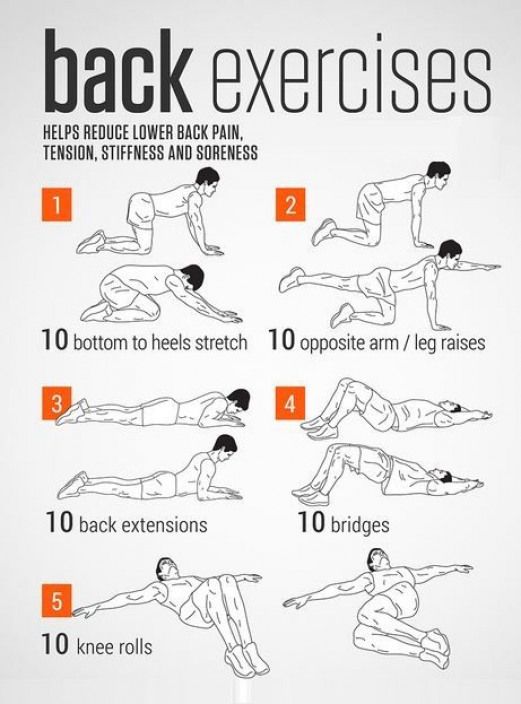 an exercise poster showing how to do back exercises