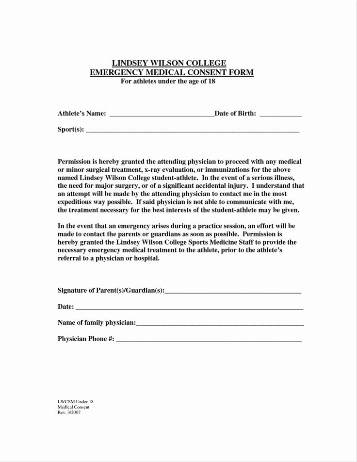 Child Travel Consent form Template Unique 12 13 Consent Letter From ...