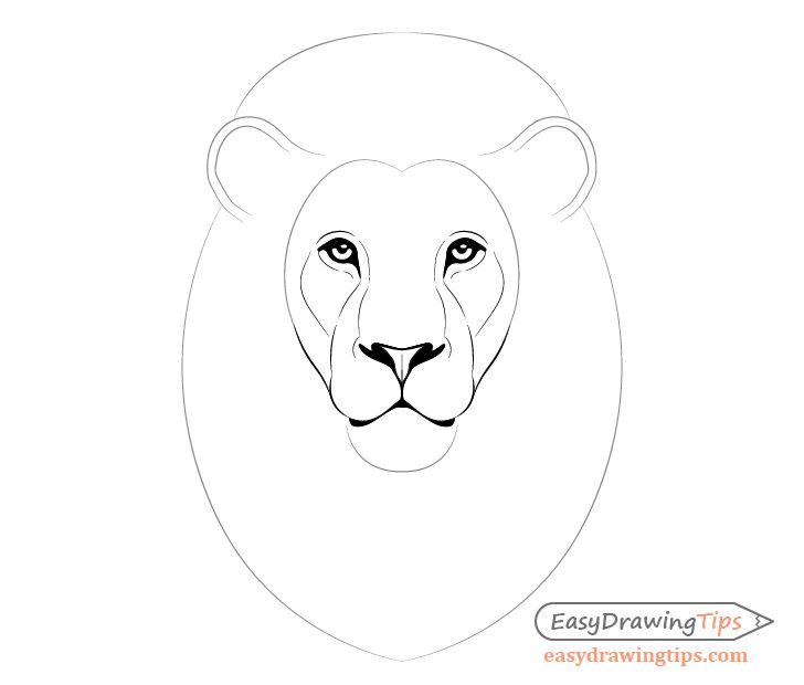 How to Draw Lion Face & Head Step by Step - EasyDrawingTips | Lion