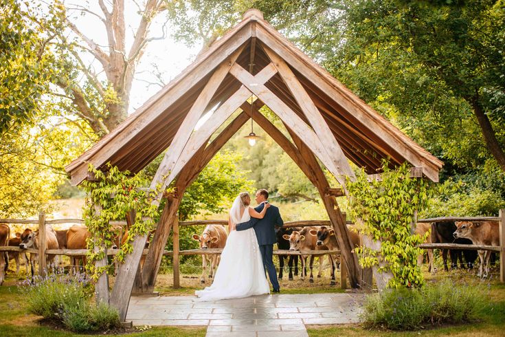 a bride and groom standing in front of a wooden gazebo surrounded by cows at their wedding