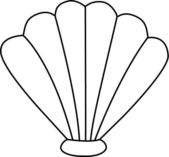 the outline of a seashell on a white background