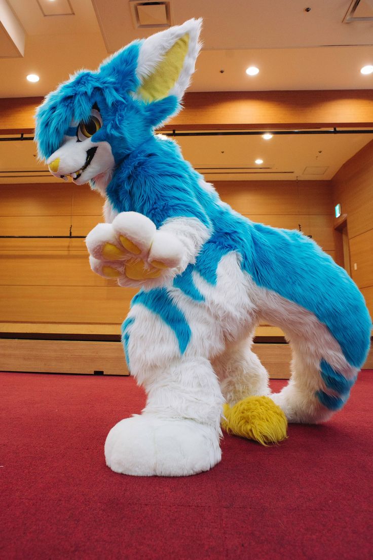 a blue and white stuffed animal standing on its hind legs in a room with red carpet