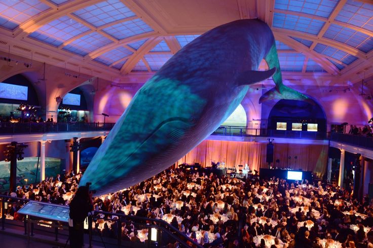 a large blue whale hanging from the ceiling in a room filled with tables and people