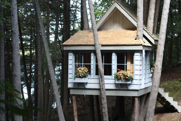 a tree house built into the side of some trees with flowers in it's windows