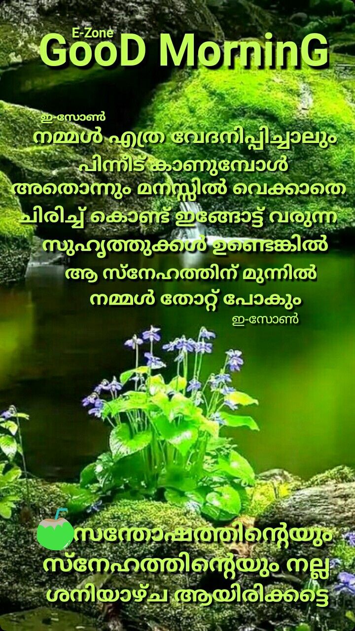 Pin by Eron on Good Morning ( Saturday Malayalam ) | Good morning ...