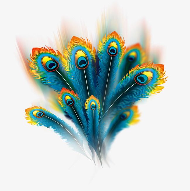 a bunch of colorful feathers on a white background with watermarked image in the bottom right corner