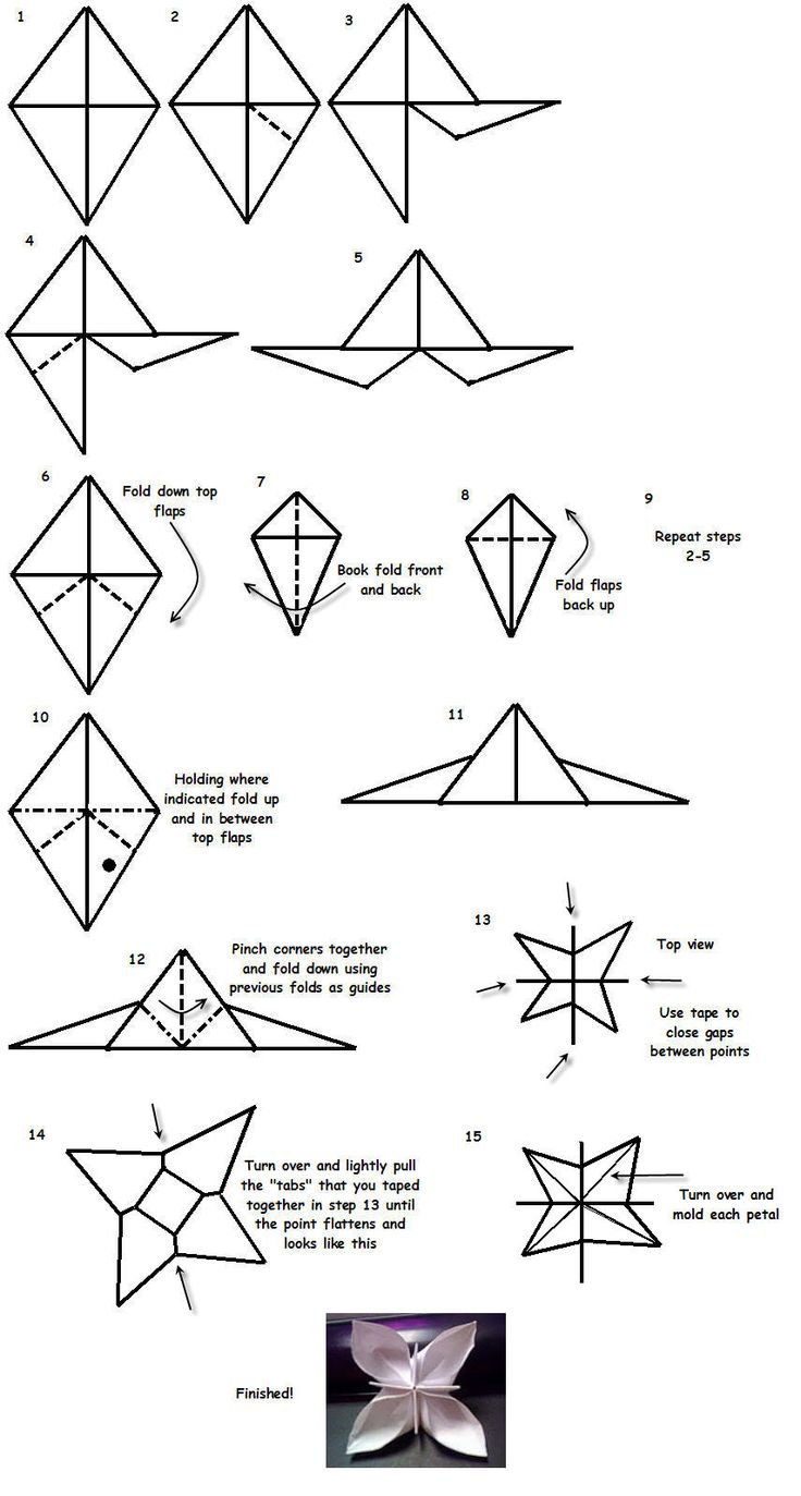 how to make an origami bird with pictures on the side and instructions for it