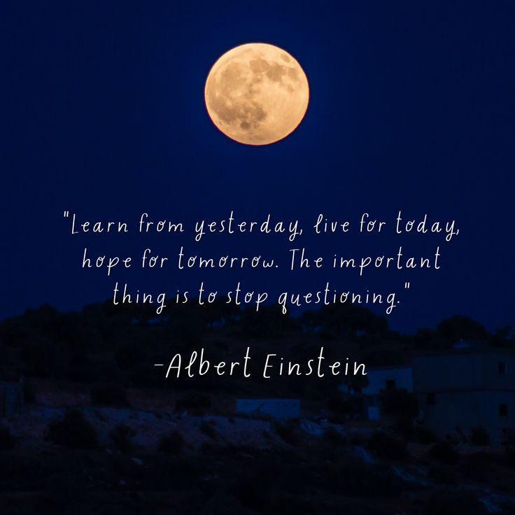 Einstein quote | Einstein quotes, Inspirational quotes for students ...