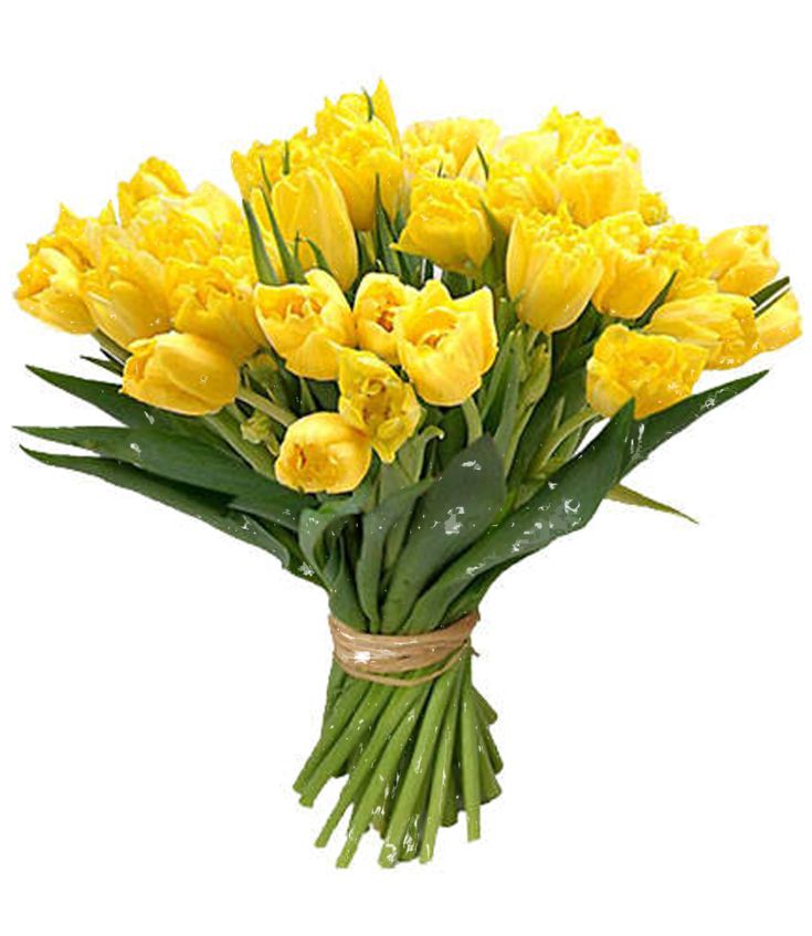 a bouquet of yellow tulips wrapped in twine