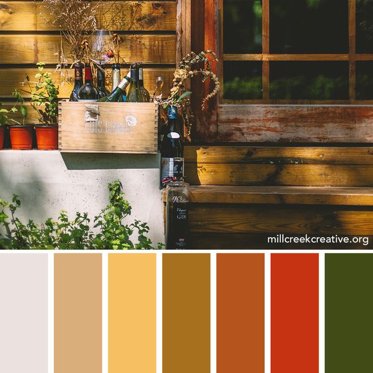 the color scheme is orange, brown, and green with some bottles on it in front of a window