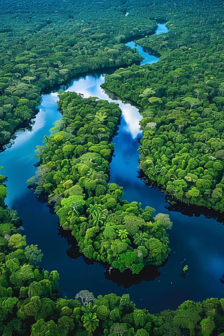 an aerial view of a river surrounded by lush green trees in the middle of nowhere