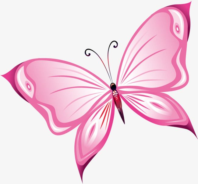 a pink butterfly flying in the air