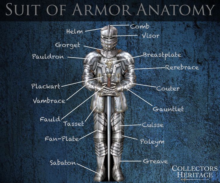 the suit of armor anatomy is shown in this graphic above it's name and description