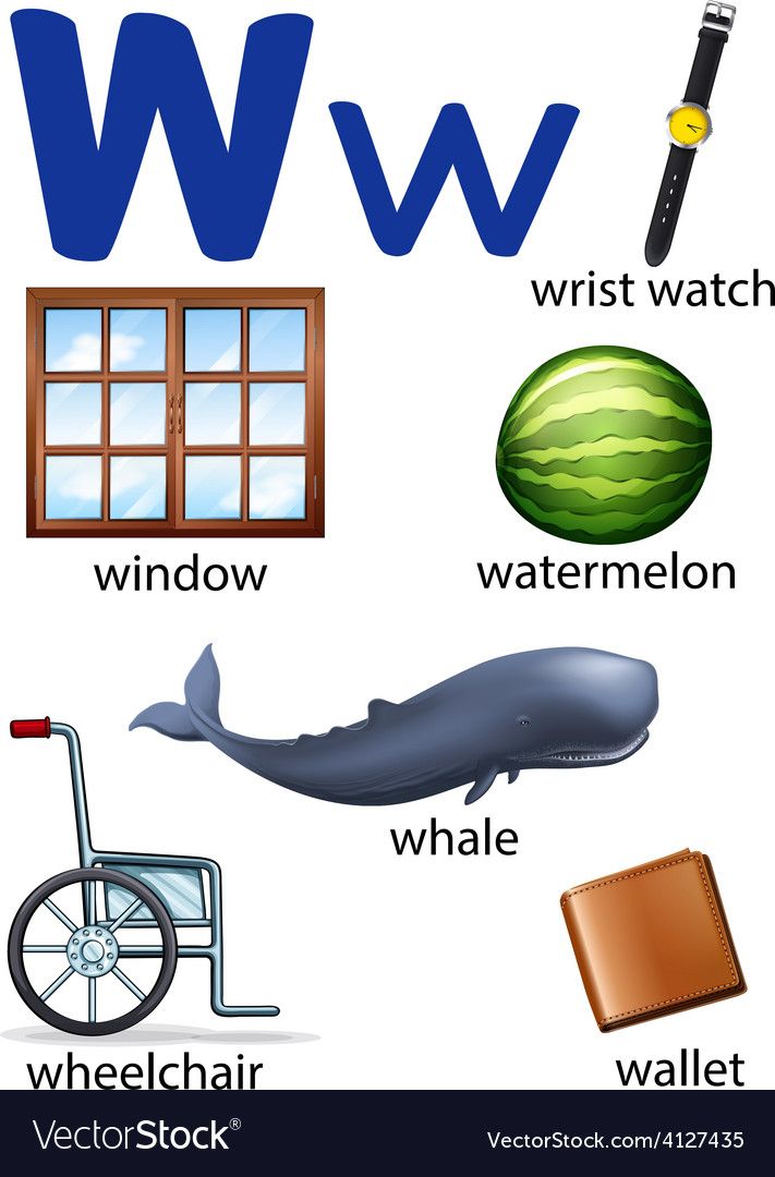 the letter w is for whale and other things