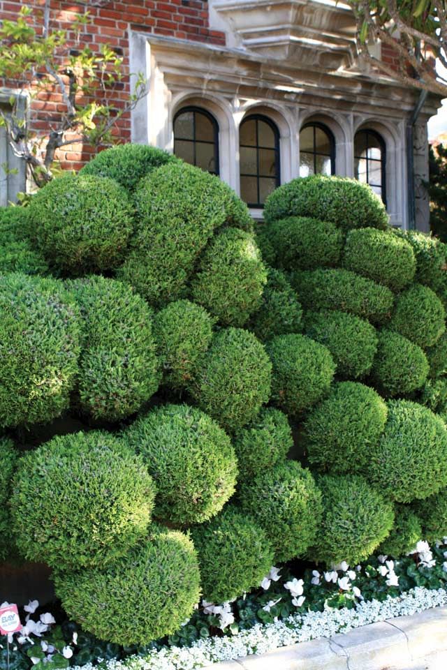 there is a very large green plant in the middle of the street and it's made out of bushes