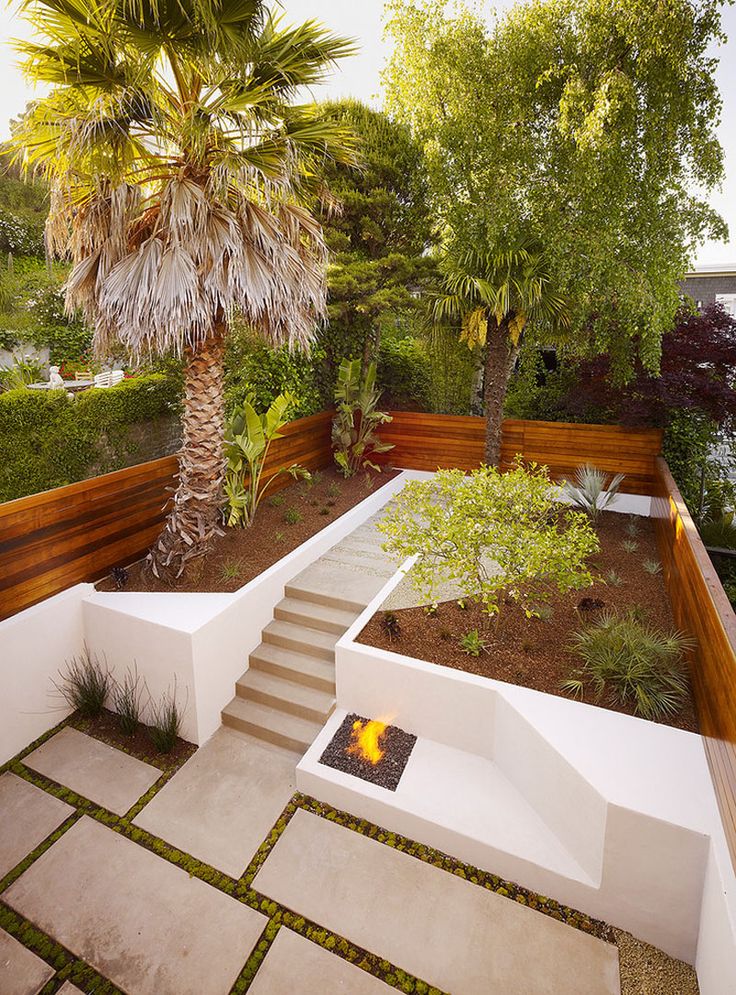 an outdoor garden with steps leading up to the trees